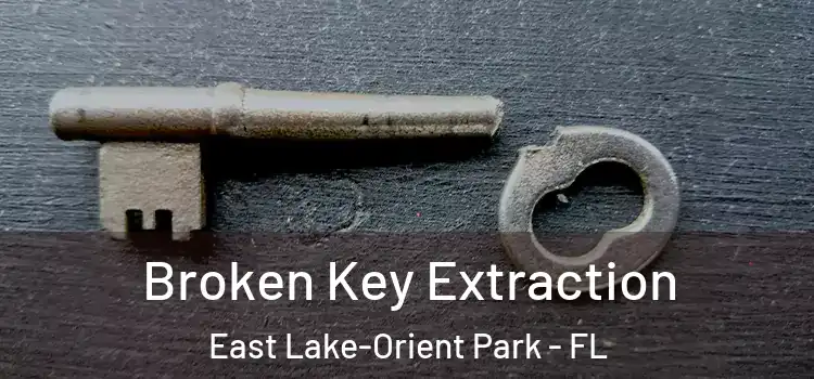 Broken Key Extraction East Lake-Orient Park - FL