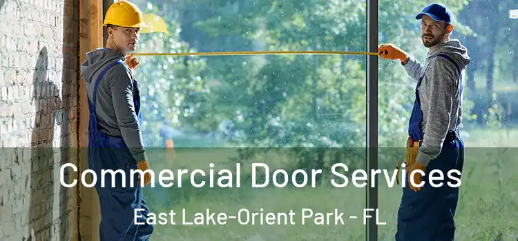 Commercial Door Services East Lake-Orient Park - FL