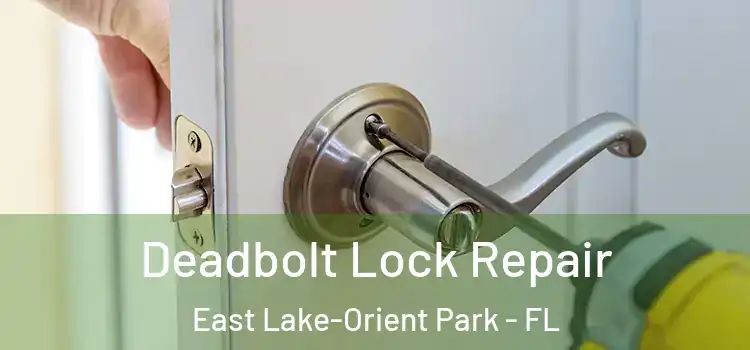 Deadbolt Lock Repair East Lake-Orient Park - FL