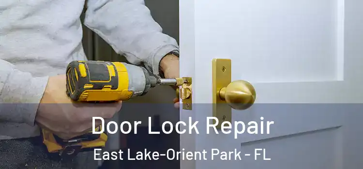 Door Lock Repair East Lake-Orient Park - FL
