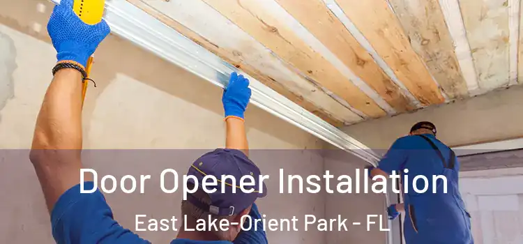 Door Opener Installation East Lake-Orient Park - FL