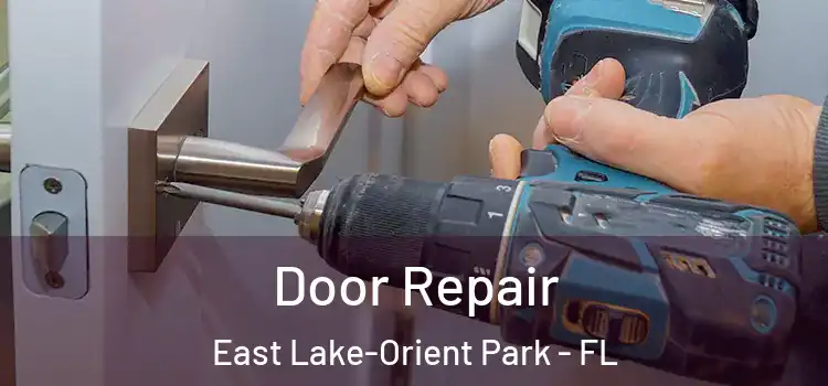 Door Repair East Lake-Orient Park - FL