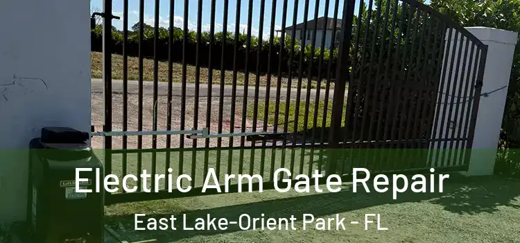 Electric Arm Gate Repair East Lake-Orient Park - FL