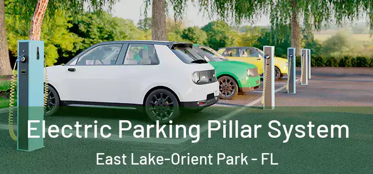 Electric Parking Pillar System East Lake-Orient Park - FL