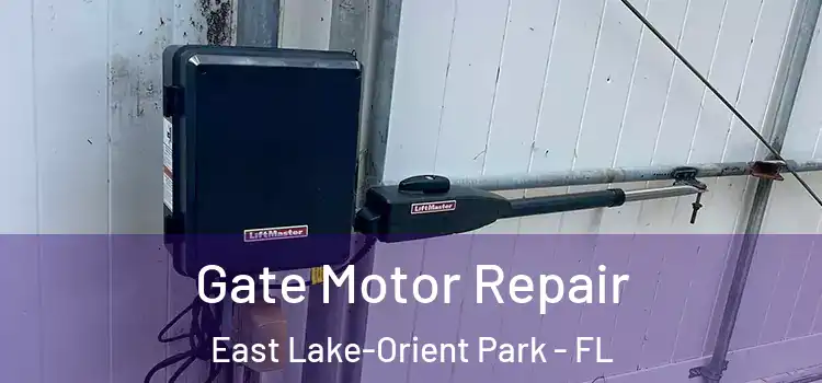 Gate Motor Repair East Lake-Orient Park - FL