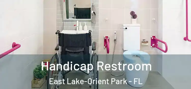 Handicap Restroom East Lake-Orient Park - FL