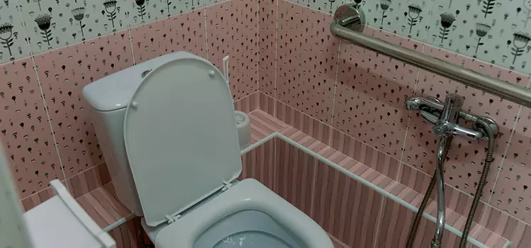 Meeting Diverse Needs With Accessible Restroom Solutions in East Lake-Orient Park, FL
