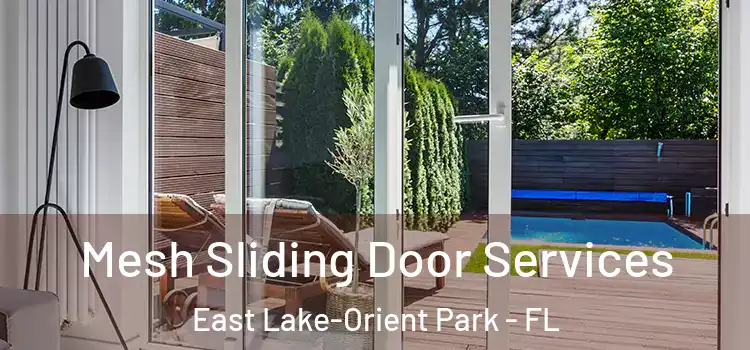 Mesh Sliding Door Services East Lake-Orient Park - FL