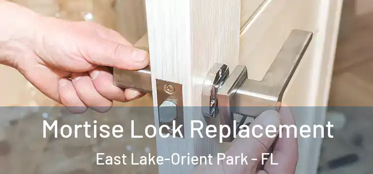 Mortise Lock Replacement East Lake-Orient Park - FL