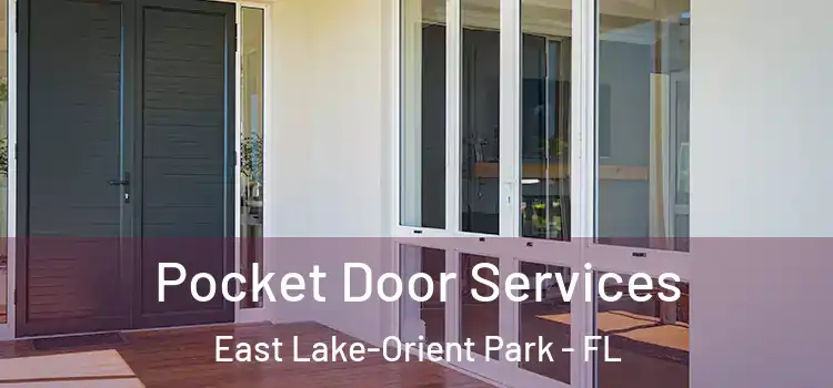 Pocket Door Services East Lake-Orient Park - FL