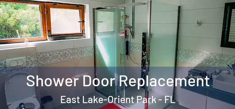 Shower Door Replacement East Lake-Orient Park - FL