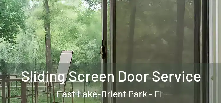 Sliding Screen Door Service East Lake-Orient Park - FL