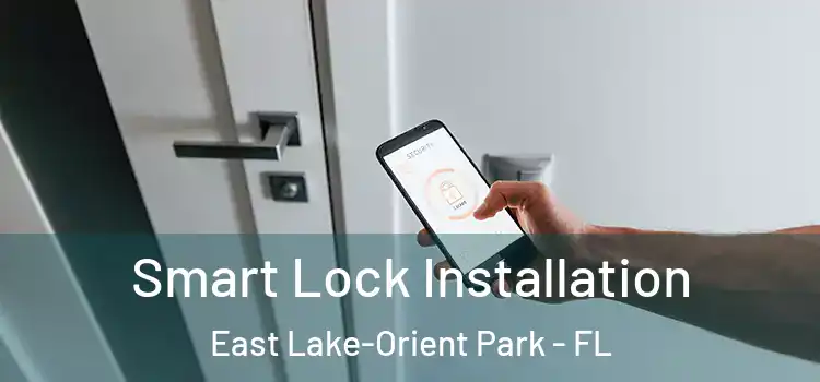 Smart Lock Installation East Lake-Orient Park - FL