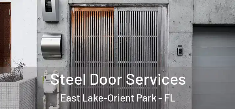 Steel Door Services East Lake-Orient Park - FL