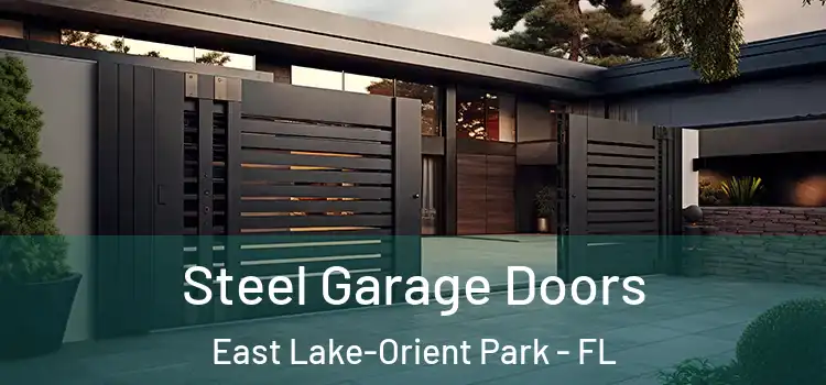 Steel Garage Doors East Lake-Orient Park - FL